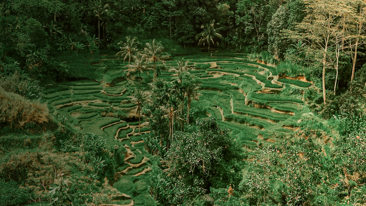 Delivering Tangible Impact <br /> Through Bold, Scalable Solutions